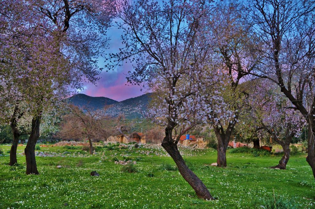 Gasthaus Beymelek Tas Evler Demre Exterior foto